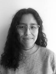 Board of Representatives (Students)