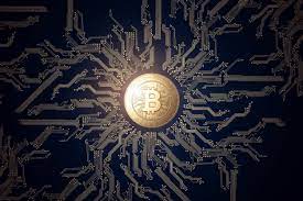 If you prefer to trade online, trading cryptocurrencies with a forex broker. Top 5 Cryptocurrency Courses Shaw Academy