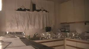 Keep a spritz bottle of water around and give them a quick spray whenever they jump on the counter. How To Keep Your Cat Off The Counter Lifehacks