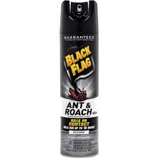 This natural roach and ant killer is safe to place in your home and can kill these pests. Dvocb110315ct Black Flag Ant Roach Killer Spray Spray Kills Cockroaches Ants Silverfish Crickets 17 50 Fl Oz Yellow 12 Carton Office Supply Hut