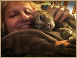 In addition, june is national adopt a cat month. Peaches And Paprika Paprika S Hug Your Cat Day