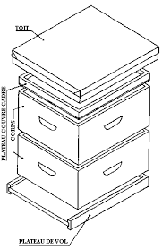 Plans De Ruches Plans De Ruche Ruche Ruche Abeille