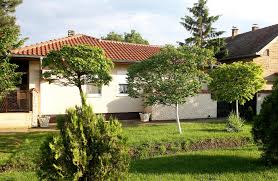 Nenad jezdic je takva glumcina, bez ijedne mrlje u karijeri, po meni najbolji srpski glumac! Video Decenijama Su Ziveli U Strogom Centru Beograda A Onda Im Je Svega Bilo Dosta Pa Su Od Gradskog Luksuza I Sjaja Pobegli Na Selo