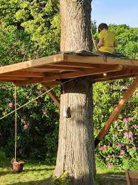 Baumhaus Bauen Baurecht Baugenehmigung Und Vorschriften Thetreehouse Shop