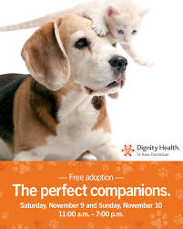 Adoption spotlight boca park animal hospital is dedicated to helping homeless animals find forever homes through working with the local rescue groups. Free Pet Adoption Weekend Sponsored By Dignity Health