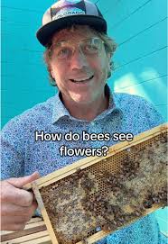 Exploring St. Simons Island with Savannah Bee Company