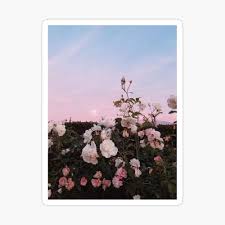 We did not find results for: Pastel Rose Flower Field Iphone Case Cover By Starrily Redbubble
