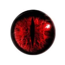 Taxidermy Eye Ring Vampir Seni Wattpad