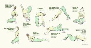 Pin On Stretches Mobility Flexibility Pliability