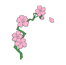 Define the places for the flowers. How To Draw Cherry Blossoms Really Easy Drawing Tutorial