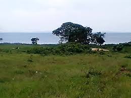 The population development of koome island as well as related information and services (wikipedia, google, images). Land For Sale In Koome Kalangala Uganda Code 59495 21 04 2021 10 51 52