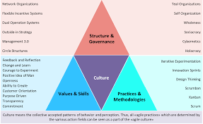 agile organizational structure a framework for context