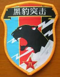 Image result for china commandos logo