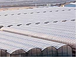 Çatı kaplama malzemeleri ürünleri binlerce marka ve uygun fiyatları ile n11.com'da! Sera Celik Konstruksiyon Fiyatlari Sermimar Celik Yapi