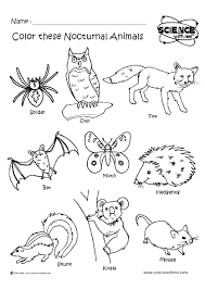 New york state symbols coloring page. Pin On Forest Animals Habitats Theme