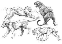 Lions Tigers Hellip Maybe Bears Next Haha O Animal Drawings Animal Art Art