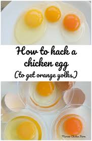 Check spelling or type a new query. How To Hack A Chicken Egg To Get Orange Yolks Murano Chicken Farm