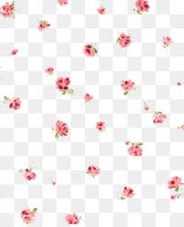 Maybe you would like to learn more about one of these? Red Flowers Png Red Flowers Cliupart Beach Red Flowers Cleanpng Kisspng