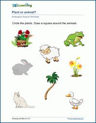 Kindergarten Plants Animals Worksheets K5 Learning