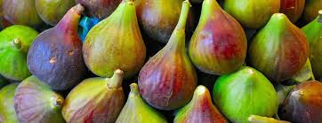 These fruit trees are incredibly easy to grow and care for as they'll happily thrive in both containers or ground. Cheerakuzhy