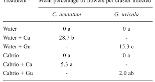 Image result for Metasphaeria diplodiella