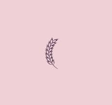 Shop Full Set Pastel Flowers Instagram Story Highlight Icon Covers In 2020 Flowers Instagram Instagram Story Pastel Flowers