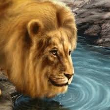 The king of the jungle is also a favorite wallpaper of unsplash users. Amazon Com Lion Reflected In Water Live Wallpaper Appstore For Android