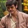 Pedro Pascal Narcos Brown Bomber Cotton Jacket