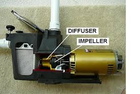 How To Determine Why A Pool Pump Won T Prime Inyopools Com