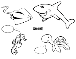 Children S Birthday Party Sea Life Oberhausen