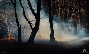 Locul, însă, nu va mai fi niciodată la fel pentru că blocurile se vor construi la doar câţiva metri de traseul turistic. PÄdurea Hoia Baciu AdevÄrul Din Spatele Misterului Cluju Ro