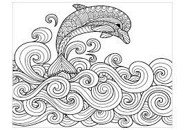 Dolphin Coloring Pages For Adults Dolphin Coloring Pages Coloring Pages Zoo Animal Coloring Pages