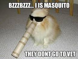 Added to adorable animals collection in animals category. Funny Horse Pictures With Captions Funny Animal Captions Part Fit For Fun