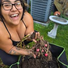 Some silliness, some deliciousness