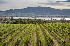 Making people's day on all fronts: Spirit Ridge At Nk Mip Resort Luxury In The Osoyoos Desert
