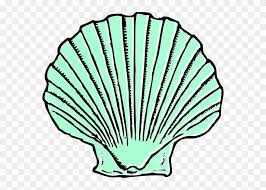 Clipart sea shell sea shell sea clipart shell clipart marine symbol element ocean decoration nature icon background sketch beach creature animal natural decorative seashell species starfish outline. Aqua Seashell Clip Art At Clipart Shell Clip Art Png Download 12375 Pinclipart