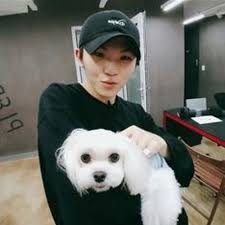 The group consists of 13 members: Woozi Seventeen Simple By Lara