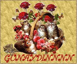 11 aralık 2017 3 yazar: Gunaydin Gifleri Hareketli Animasyonlari Gifler Animasyon Kus Sanat