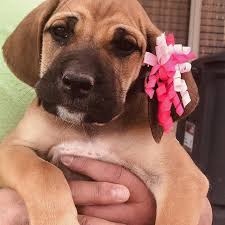 We did not find results for: Imissthemall Instagram Posts Photos And Videos Picuki Com