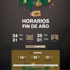 Los deseos, propósitos y sueños de los famosos para un 2021 diferente. Horarios De Fin De Ano Que Tendran El Zoologico La Aurora E Irtra 2020