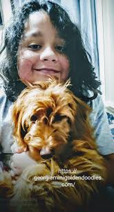 My beautiful boy Thomas and his lady friend Girlie ❤️ .. they are 6 years  old and I love them to pieces ❤️❤️ .. Andalusia Alabama