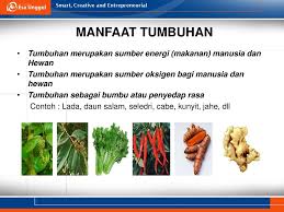 Antroposentrisme (antropos = manusia) adalah suatu pandangan yang menempatkan manusia kebijakan terhadap alam harus diarahkan untuk mengabdi kepada kepentingan manusia. Tumbuhan Hujau Pertemuan 7 Harlinda Syofyan S Si M Pd Ppt Download