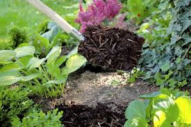 Pflegeleichte Garten Die 10 Besten Tipps Und Tricks Pflegeleichter Garten Pflanzen Garten Pflanzen