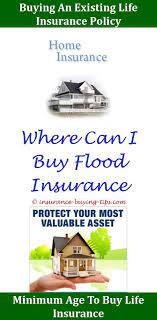 Which is why it is important to take out the right insurance when buying a house. Geico Insurance Quote Fair Get A Car Insurance Quote From Geico Get A Quote Pictures Geico Insuran Buy Health Insurance Auto Insurance Quotes Insurance Quotes