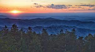 Help Protect Our Smoky Mountain Forests