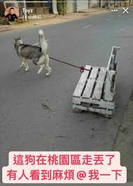 After their debut album, final attraction was a moderate hit, they began working on their second studio album. V8ltkzb1ag2nem