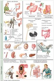 Image result for Constipation Causes