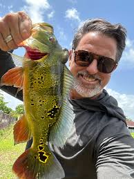 I had a solid day at my spot in Kendall, Florida today.