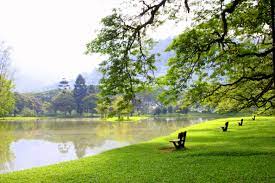 Propertyguru helps you find the right property in malaysia. Lake Garden Taiping Perak Taiping Lake Garden Travel Photos
