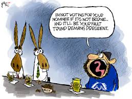 Joe biden is the democratic party nominee for the 2020 presidential race. The Voting Blue No Matter Who Blues Claytoonz